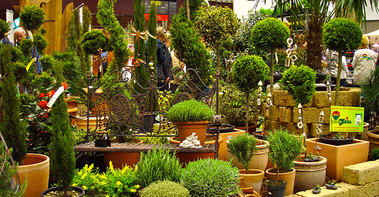 Gartenschau in der Friedrich-Eberthalle in Ludwigshafen