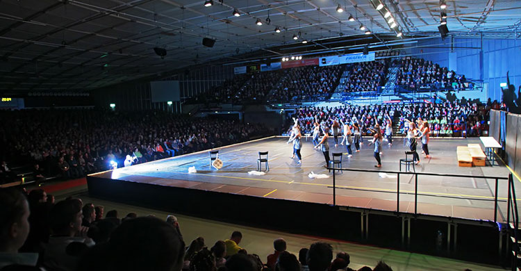 Tanzshows, B&uuml;hnenshows und Akrobatikveranstaltungen in der Metropolregion Rhein-Neckar.