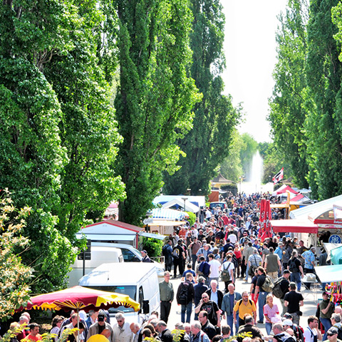 Freifl&auml;chen f&uuml;r Open-Air Events und mehr